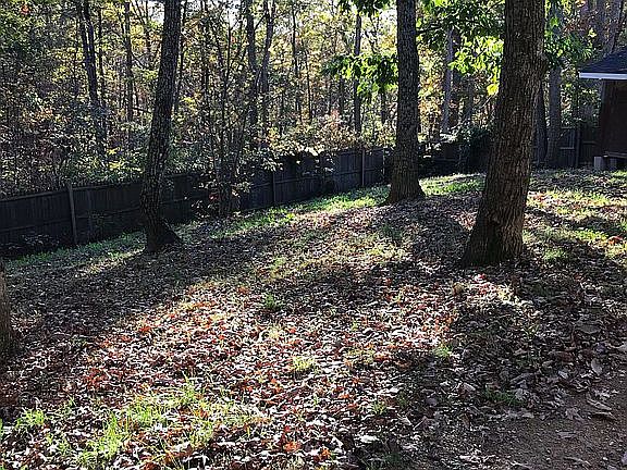 Back fenced in area 