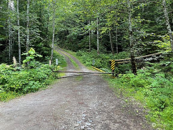 3rd image of 0 XX Anthracite Creek Road