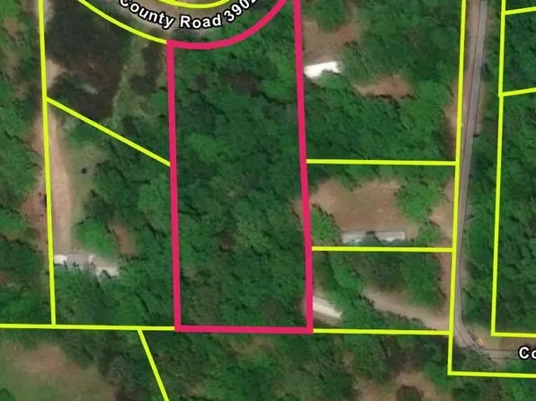 11 County Road 3902, Arley, AL 35541