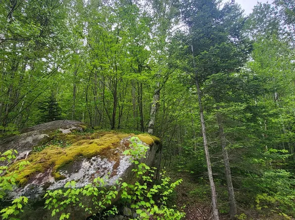 0 Saphire Lane, Jefferson, NH 03583