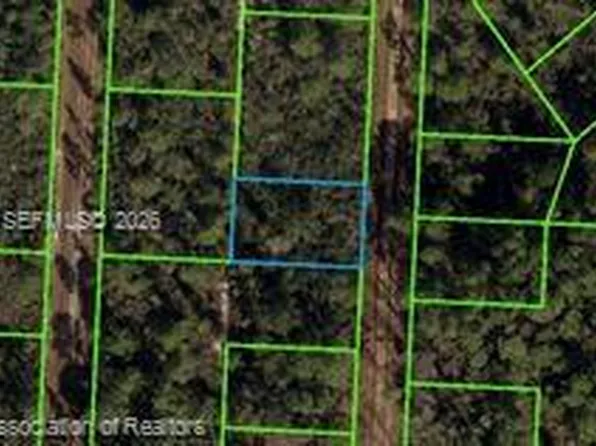 718 Neale St, Lake Placid, FL 33852