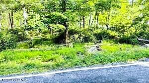 1st image of Metzgar Rd