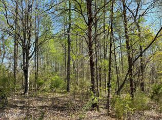 Fairview Rd, Tellico Plains, TN 37385