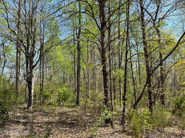 Fairview Rd, Tellico Plains, TN 37385