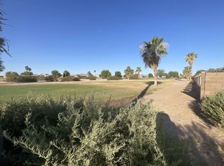 29837 E Mountain View Ave, Wellton, AZ 85356