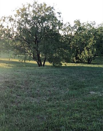 2nd image of 2211 Alyssum Dr