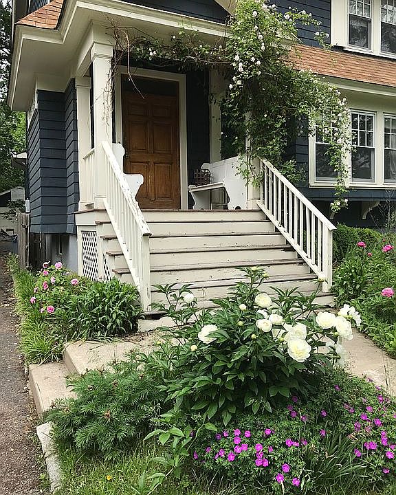 In full bloom
