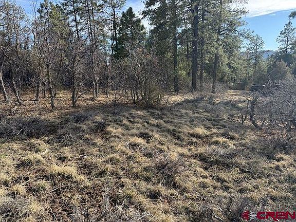 5th image of 495 Justin's Drive