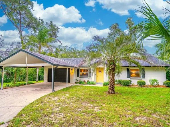 31050 LOCHMORE CIRCLE, MOUNT PLYMOUTH, FL 32776