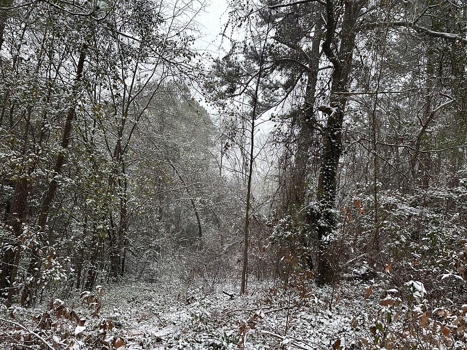 1st image of 3512 Buckner Drive