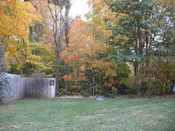 Back yard to trout stream