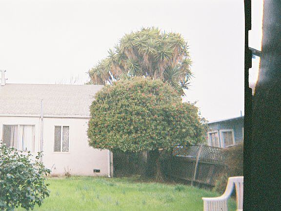 back of house