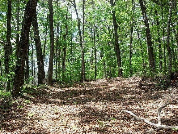5th image of 0 Sequatchie Mountain Rd