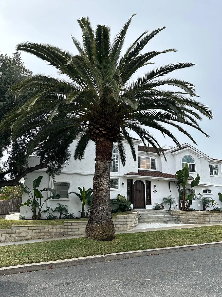 Building Photo - 34521 Via Catalina