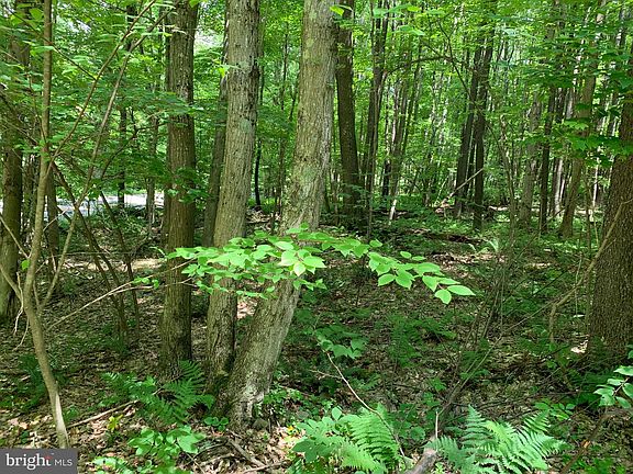 4th image of 6 Woods Way