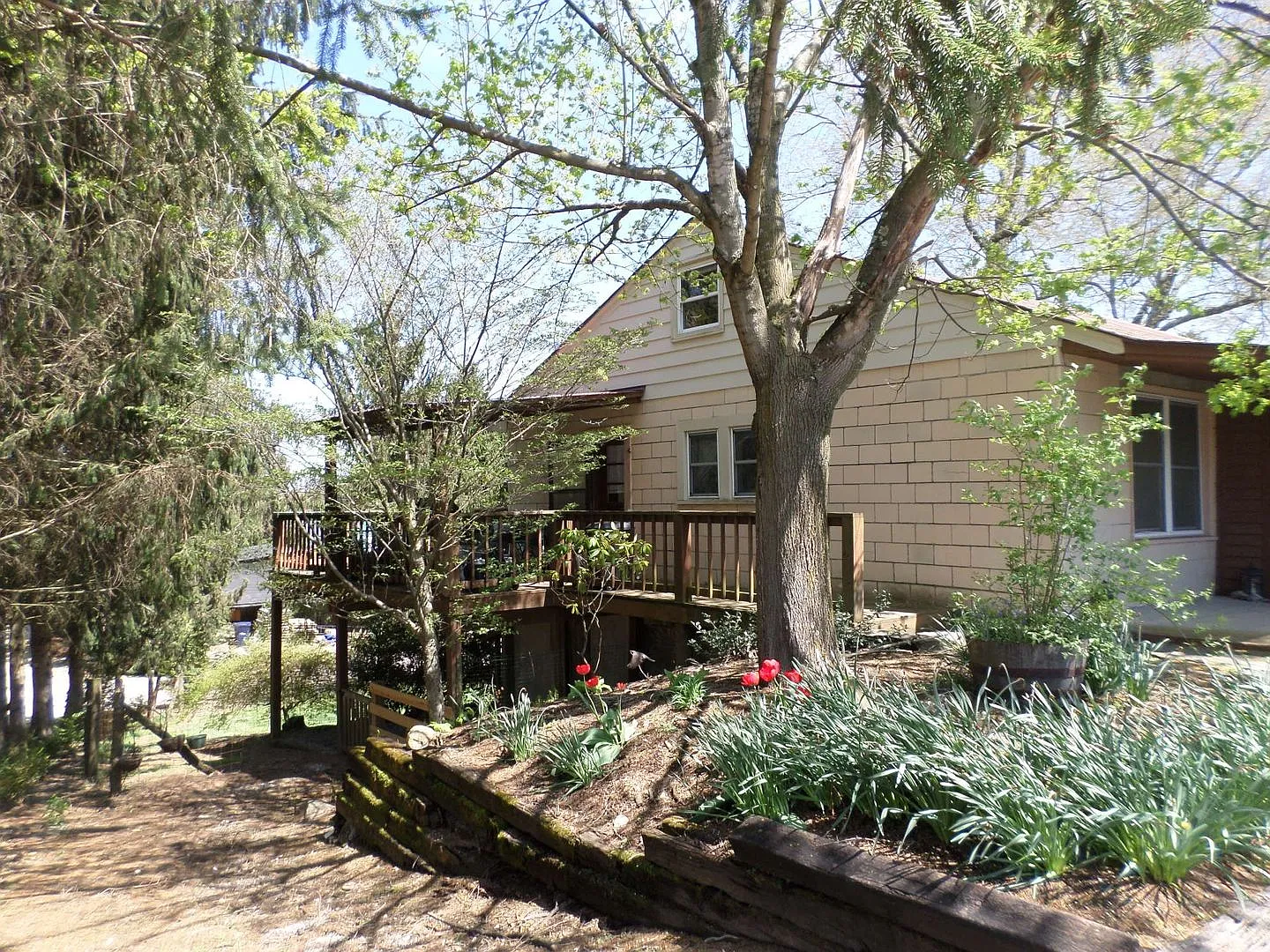 3 Bedroom 1 Bath House — Photo 3
