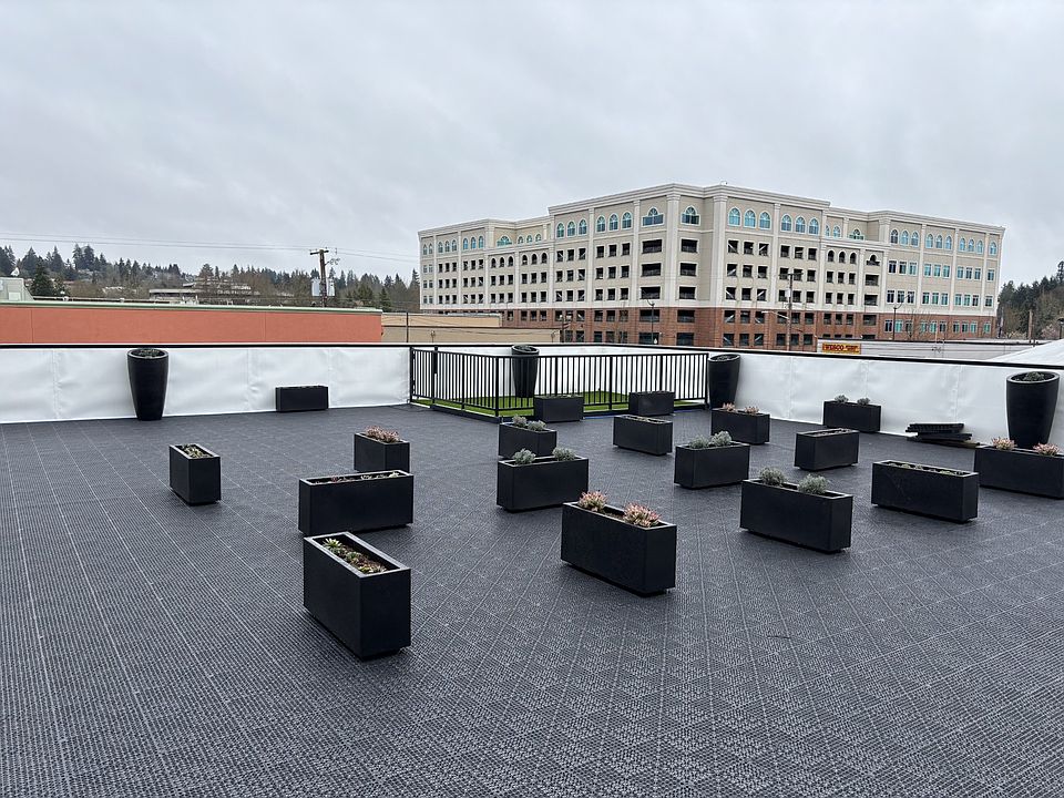 Outside patio, dog station in waiting on patio furniture and BBQ to arrive by May 1.