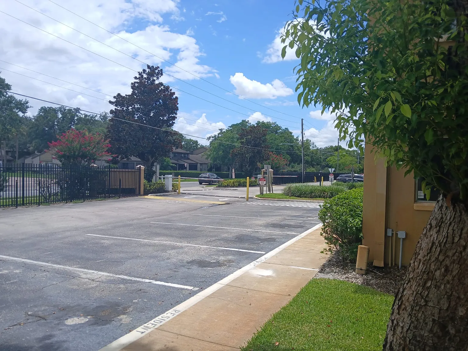 1 bed, 768 sqft, $1,250 — Photo 4