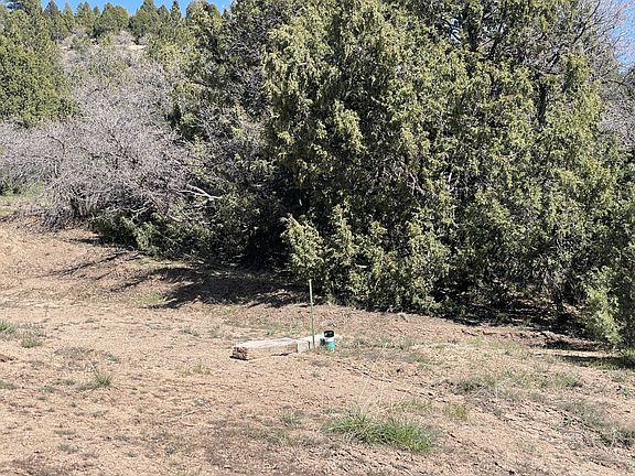 4th image of 379 Pine Cone Ln
