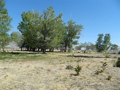 Adjoining lot