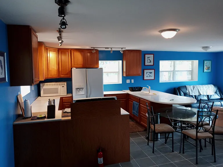Kitchen/Living from entrance hall