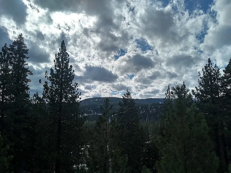 12615 Sierra Dr E photo 1