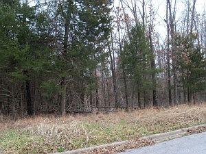 1st image of 319 La Vista Cir