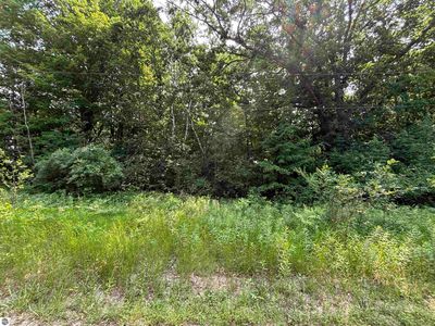 V/l White Birch Dr, Farwell, MI, 48625