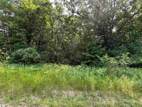 V/l White Birch Dr, Farwell, MI 48625