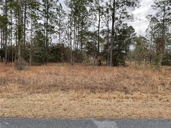 LOT 14 SE 136th Ter, Dunnellon, FL 34431