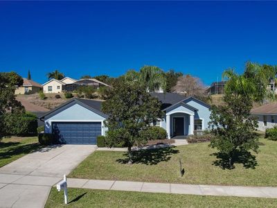 13039 Antique Oak St, Clermont, FL, 34711