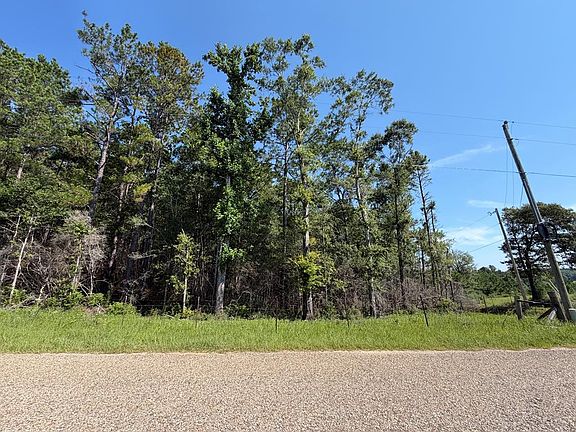 4th image of 187 Redfish Rd