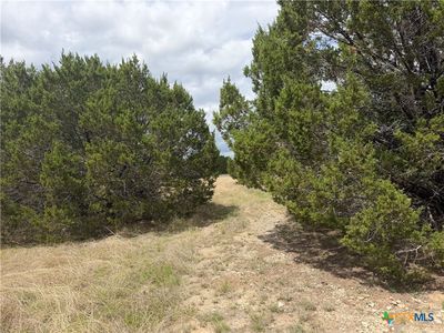 0 County Road 142, Gatesville, TX, 76528