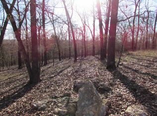 1677 Mountain Grove Rd, Branson, MO 65616