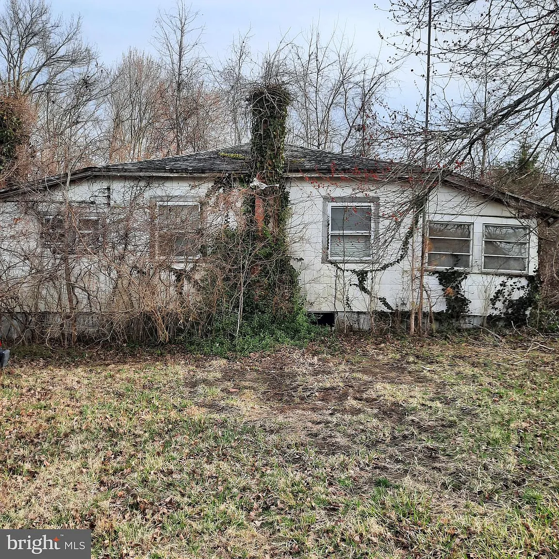 8915 Palmer Ln photo 1