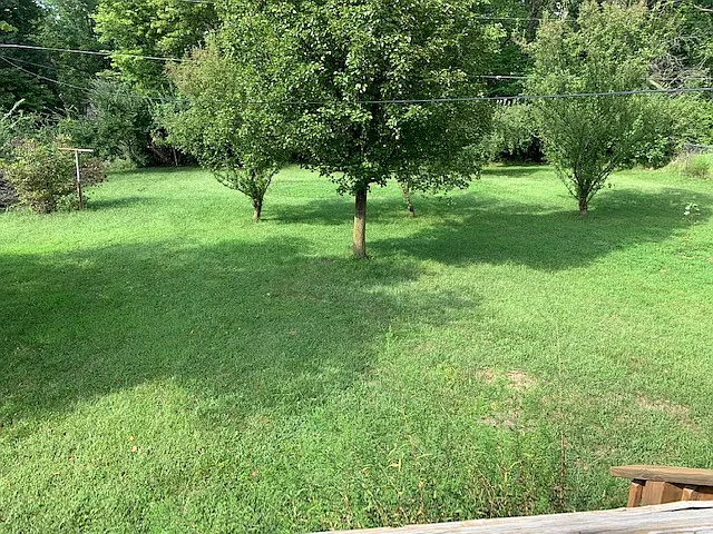 2409 Fleetwood Dr — Photo 3