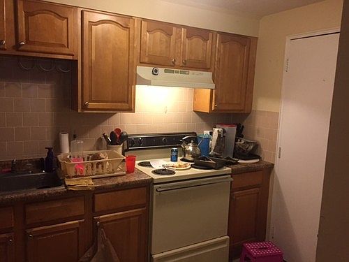 2nd image of 55 Elmwood Park APT 4