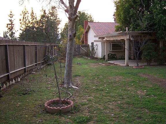 More Yard - Perfect Park-Like Setting