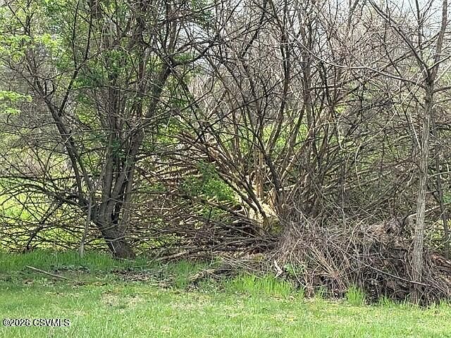2nd image of County Line Rd