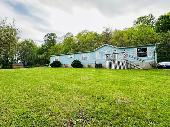 117 Lanier Ln, Marion, VA 24354