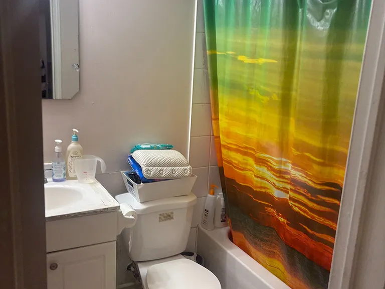 598 Dolly Bird Ln #BASEMENT — Photo 5