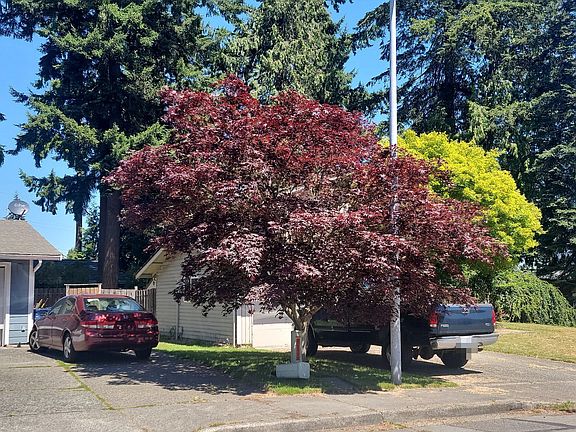 3rd image of 2713 Larlin Dr