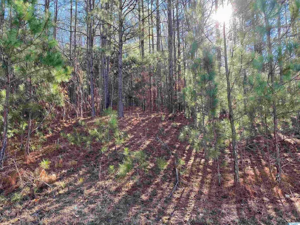 802 Lakewood Dr NW, Fort Payne, AL 35967