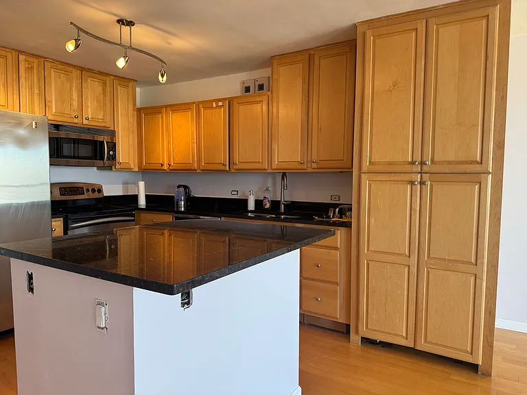 405 N Wabash Ave #4711 — Photo 18