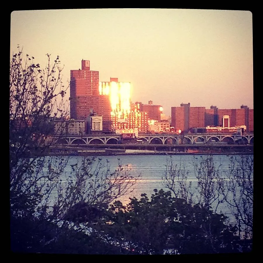 1 bed, 870 sqft, $2,000 — Photo 2