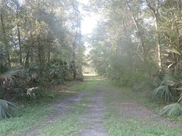 County Road 2006 West W #W, Bunnell, FL 32110