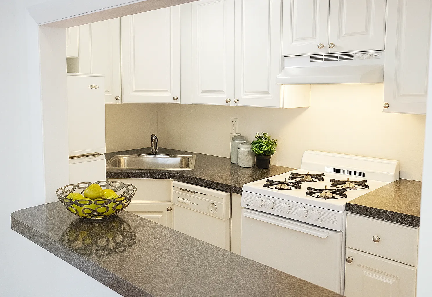 1 bed, 600 sqft, $1,299 — Photo 2