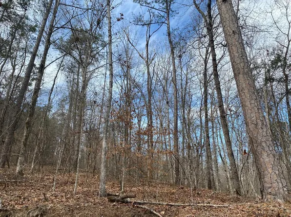 Raccoon Branch Rd, Jasper, AL 35504