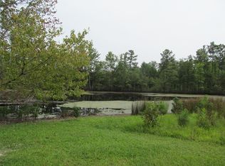 9826 River Rd, South Chesterfield, VA 23803