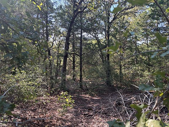 3rd image of 667 Paint Creek South Rd